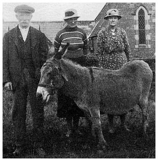 Rushton and Hilda England with cousin Emily (centre) and Joey the donkey